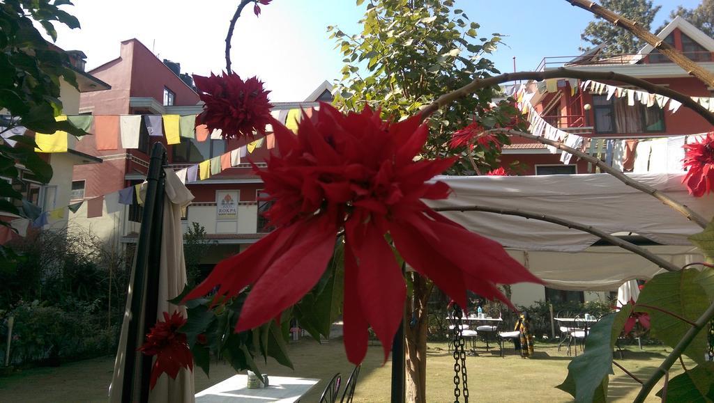 Guest house Rokpa Kathmandu